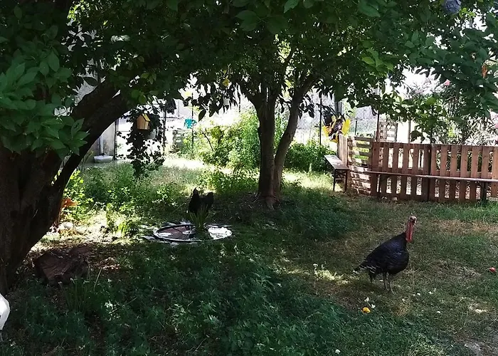 Serendipity